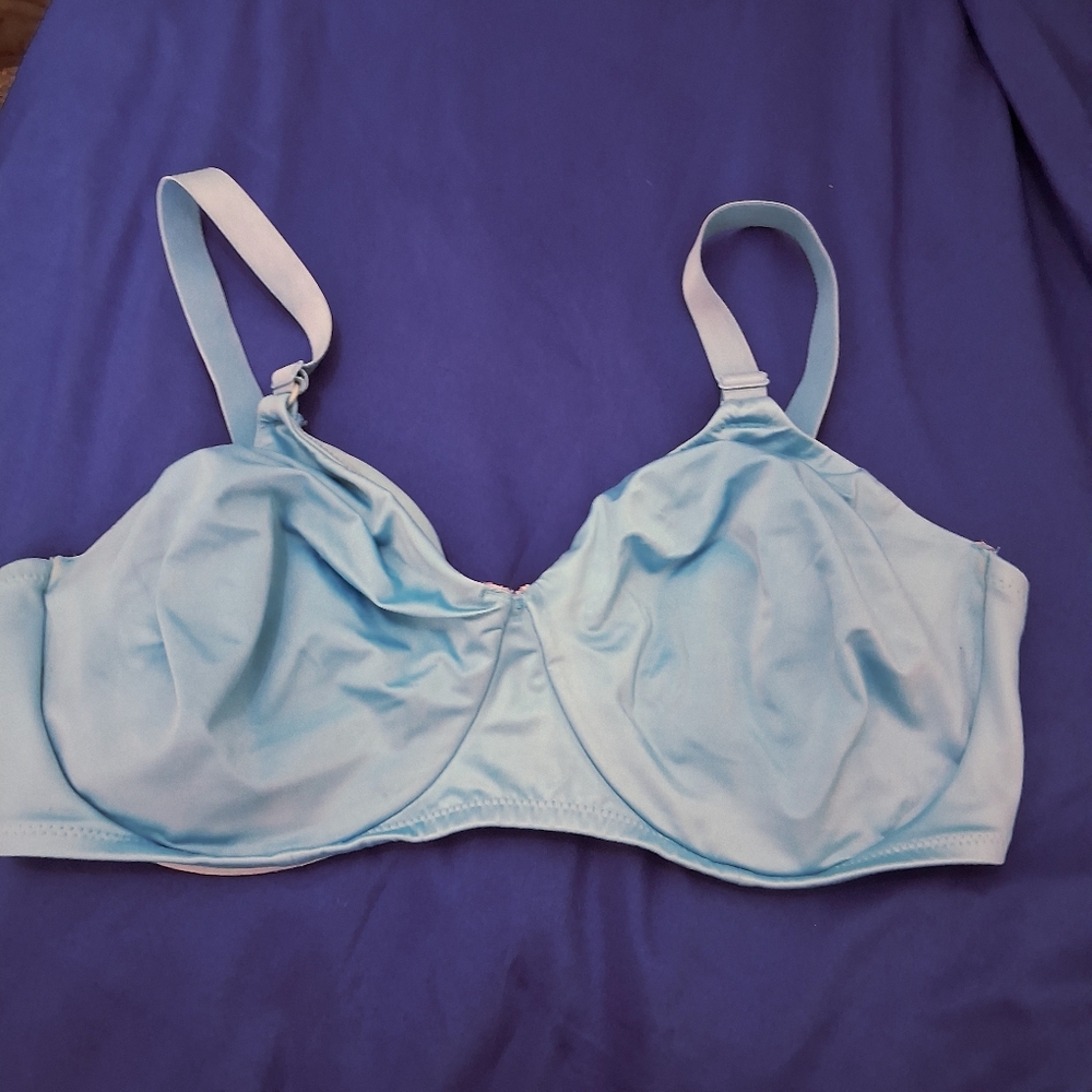 Playtex 42DD Wire Light Blue Bra